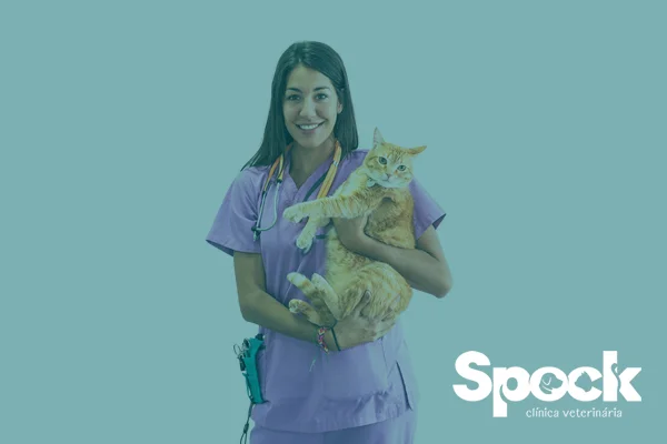 Fisioterapia para Cães e Gatos