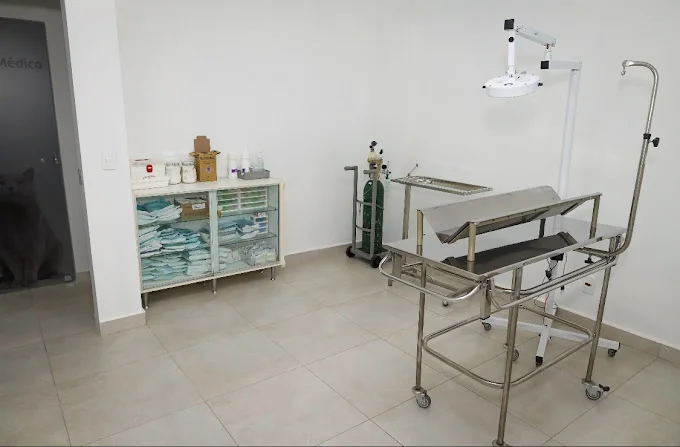 Clínica Veterinária Uberaba